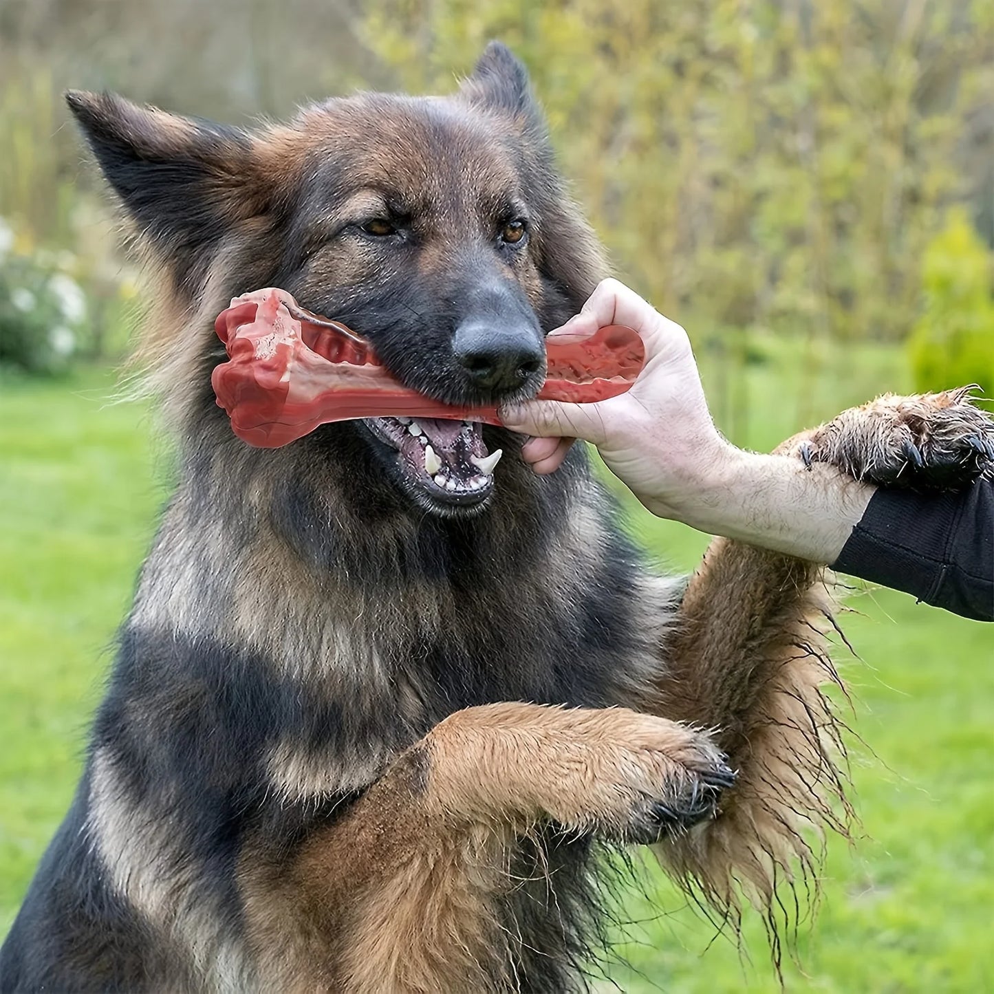 Durable dog chew toys for powerful chewing dogs