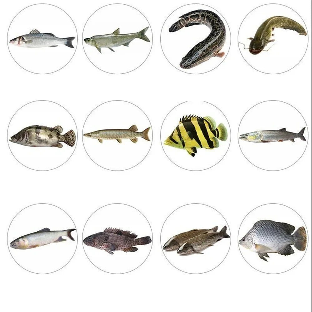 10 PCS Minnow Fishing Lures Floating Hard