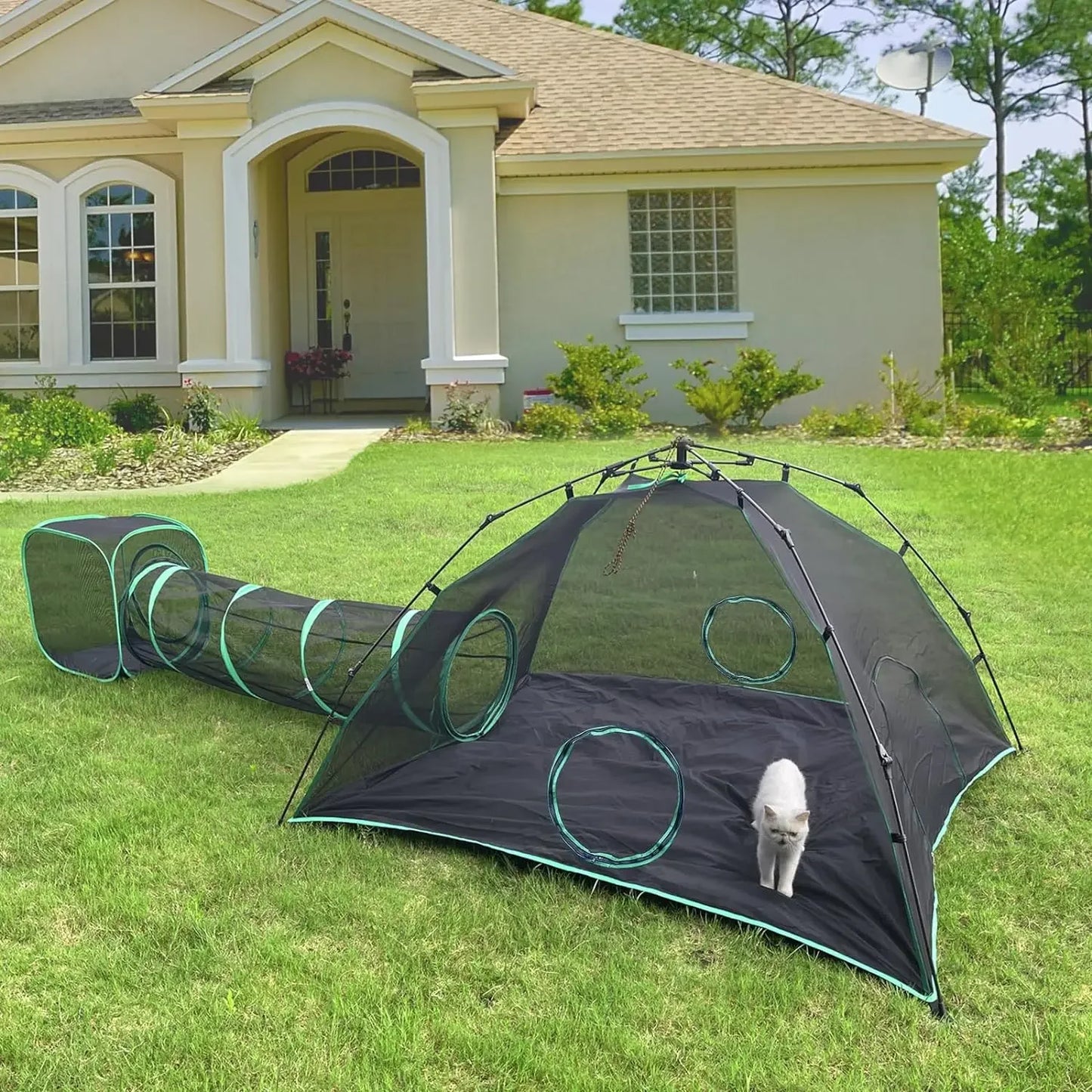 Outdoor Cat Play Tents and Tunnels