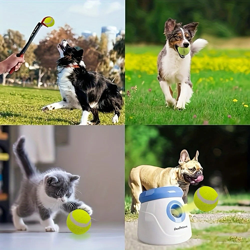 Small dog tennis balls, for playing and training