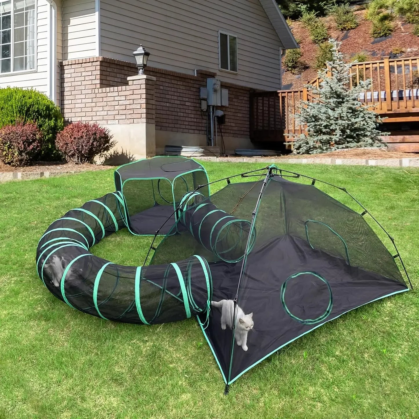 Outdoor Cat Play Tents and Tunnels