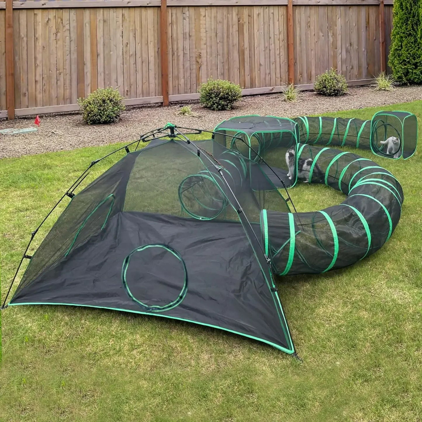 Outdoor Cat Play Tents and Tunnels