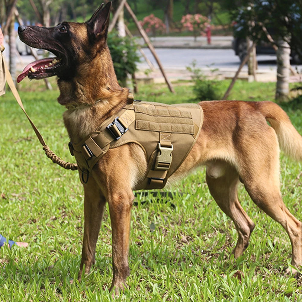 Dog Harness, Leash, Walking Vest , And Collar