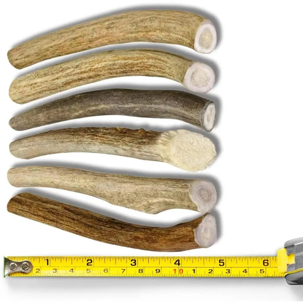 Deer Antler Dog Chews Long Lasting Healthy Chewing