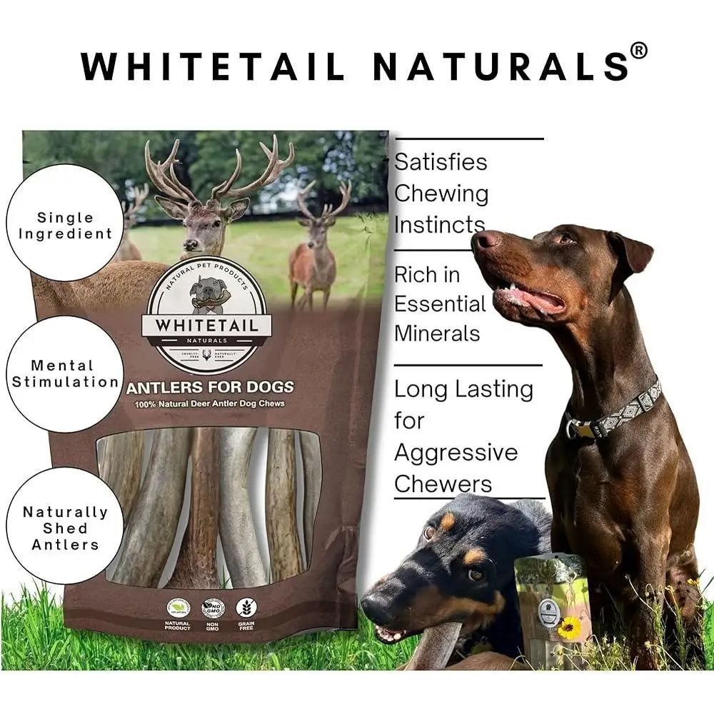 Deer Antler Dog Chews Long Lasting Healthy Chewing