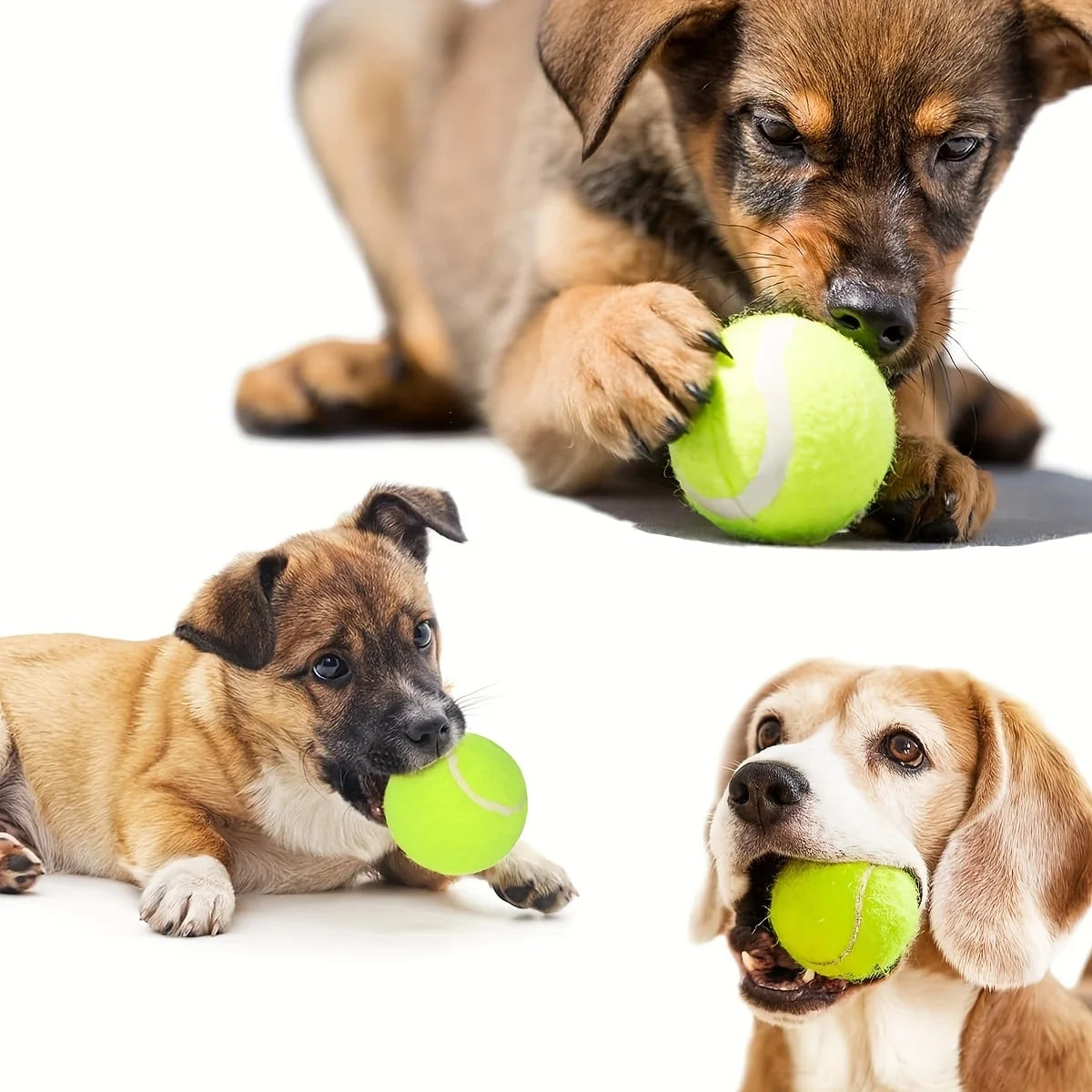 Small dog tennis balls, for playing and training
