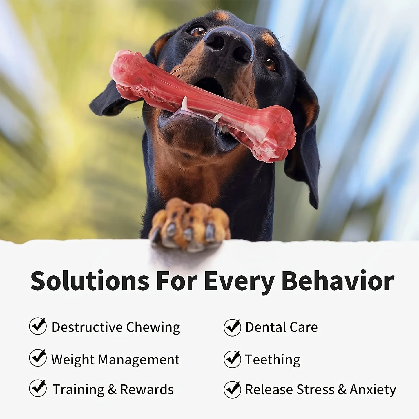 Durable dog chew toys for powerful chewing dogs