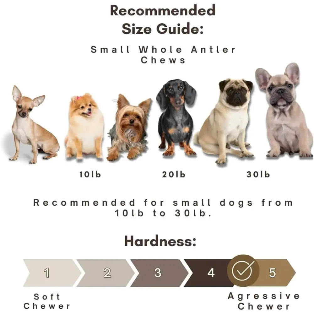 Deer Antler Dog Chews Long Lasting Healthy Chewing