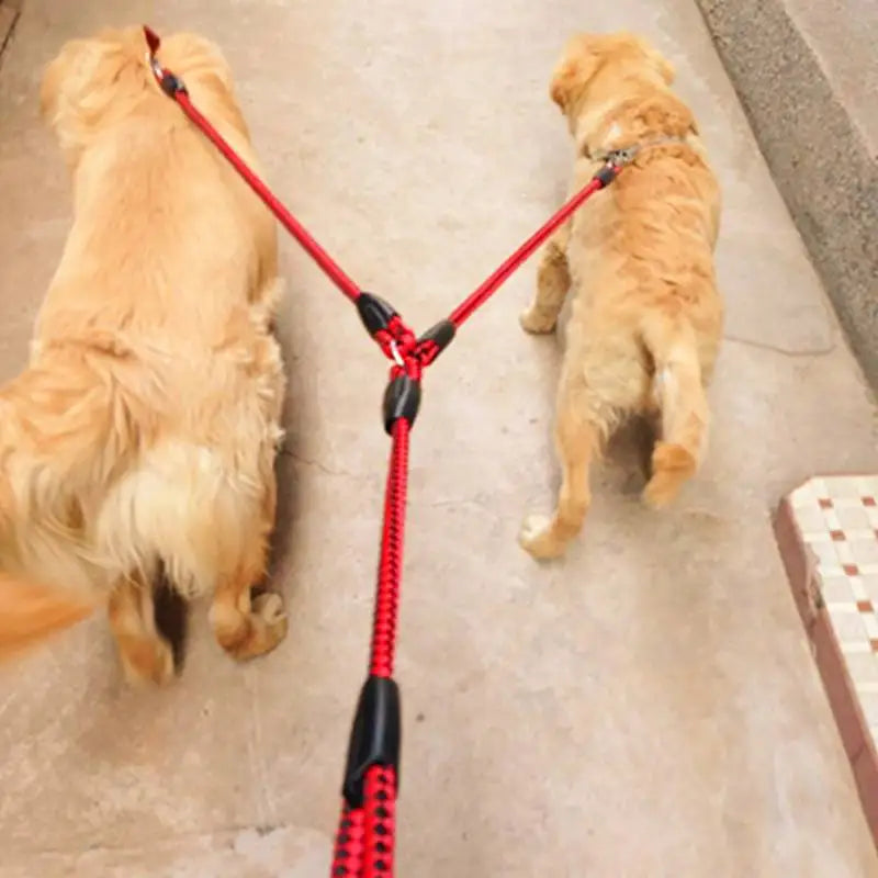 Double Leash 2 Way Couplers