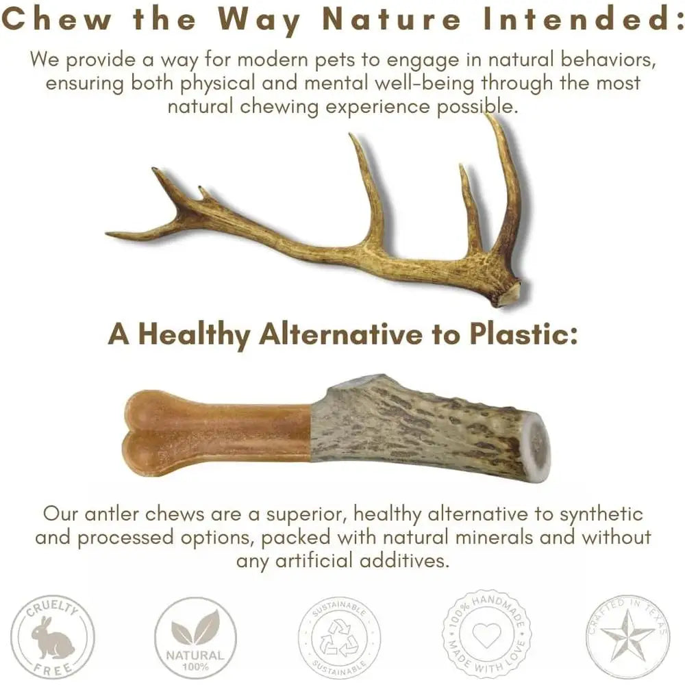 Deer Antler Dog Chews Long Lasting Healthy Chewing