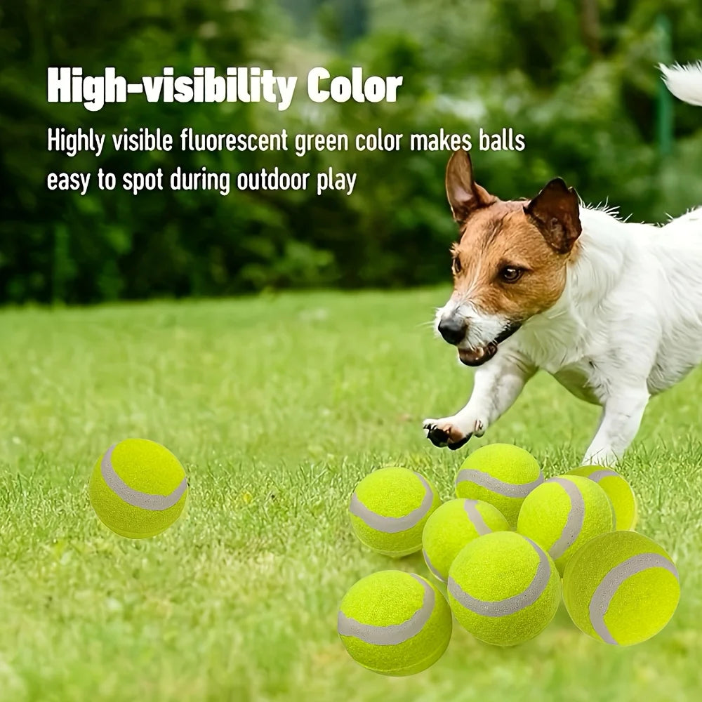 Small dog tennis balls, for playing and training
